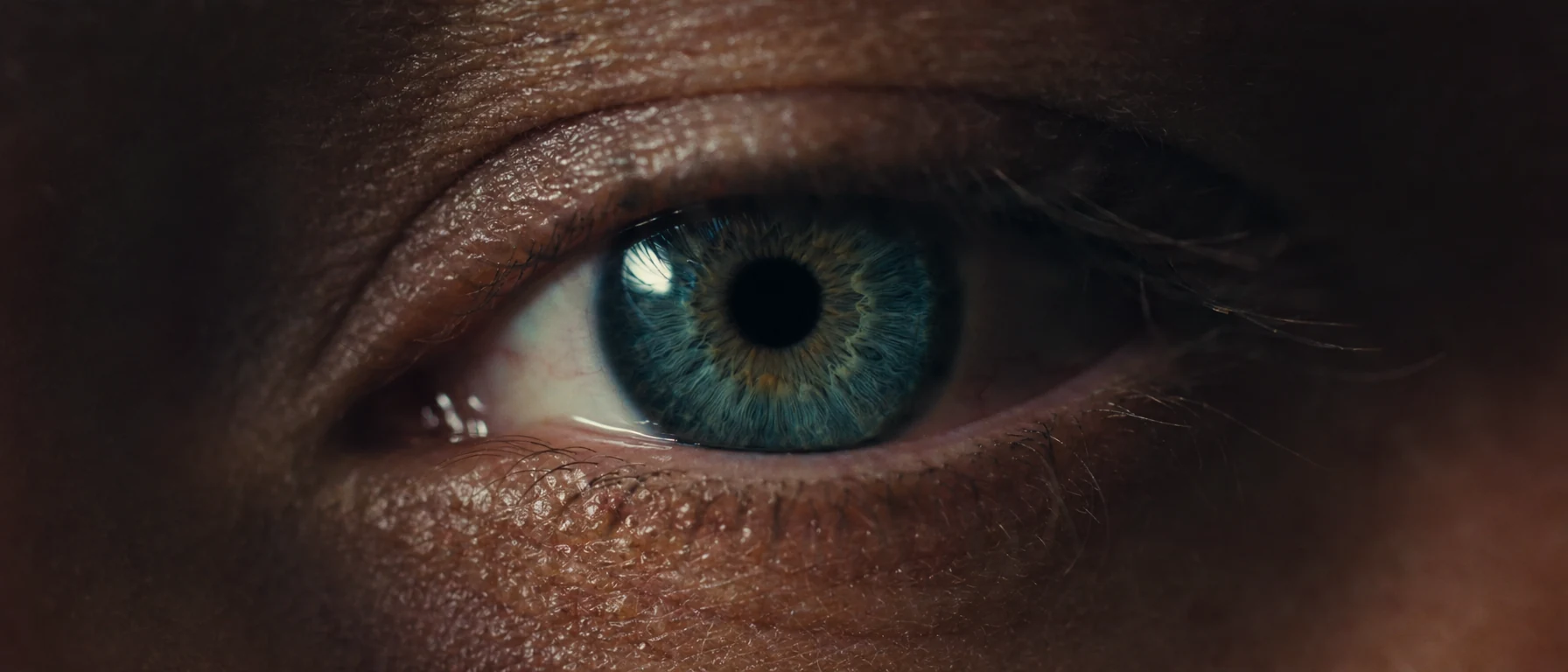 Big Close-Up