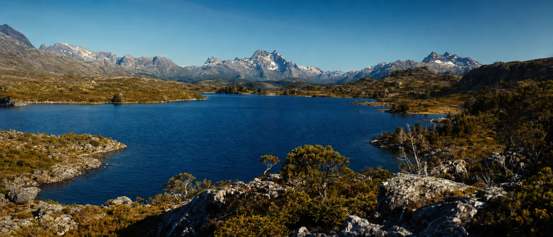 Polarizer